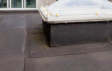 disadvantages of New Hedges flat roofs