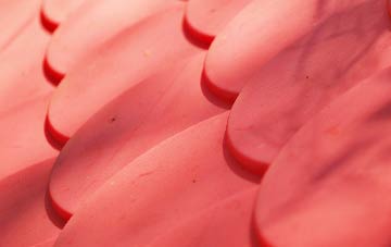 New Hedges plastic roof costs