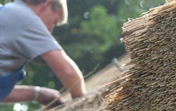 professional New Hedges thatchers